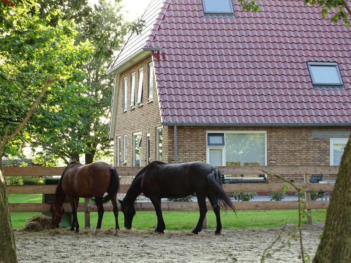 Hoeve Blitterswijk Scheerwolde Exterior photo